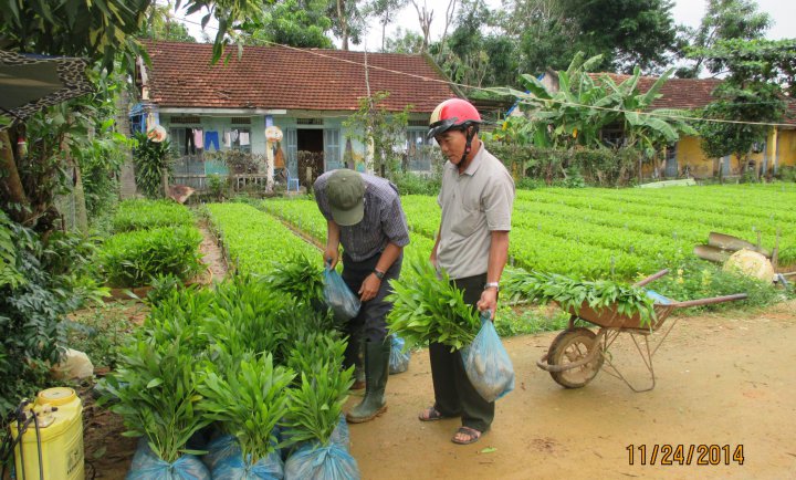 Công tác trồng & chăm sóc rừng